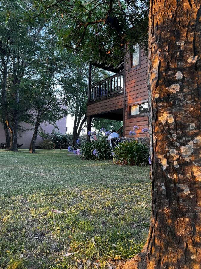 Tahonas Lodge *