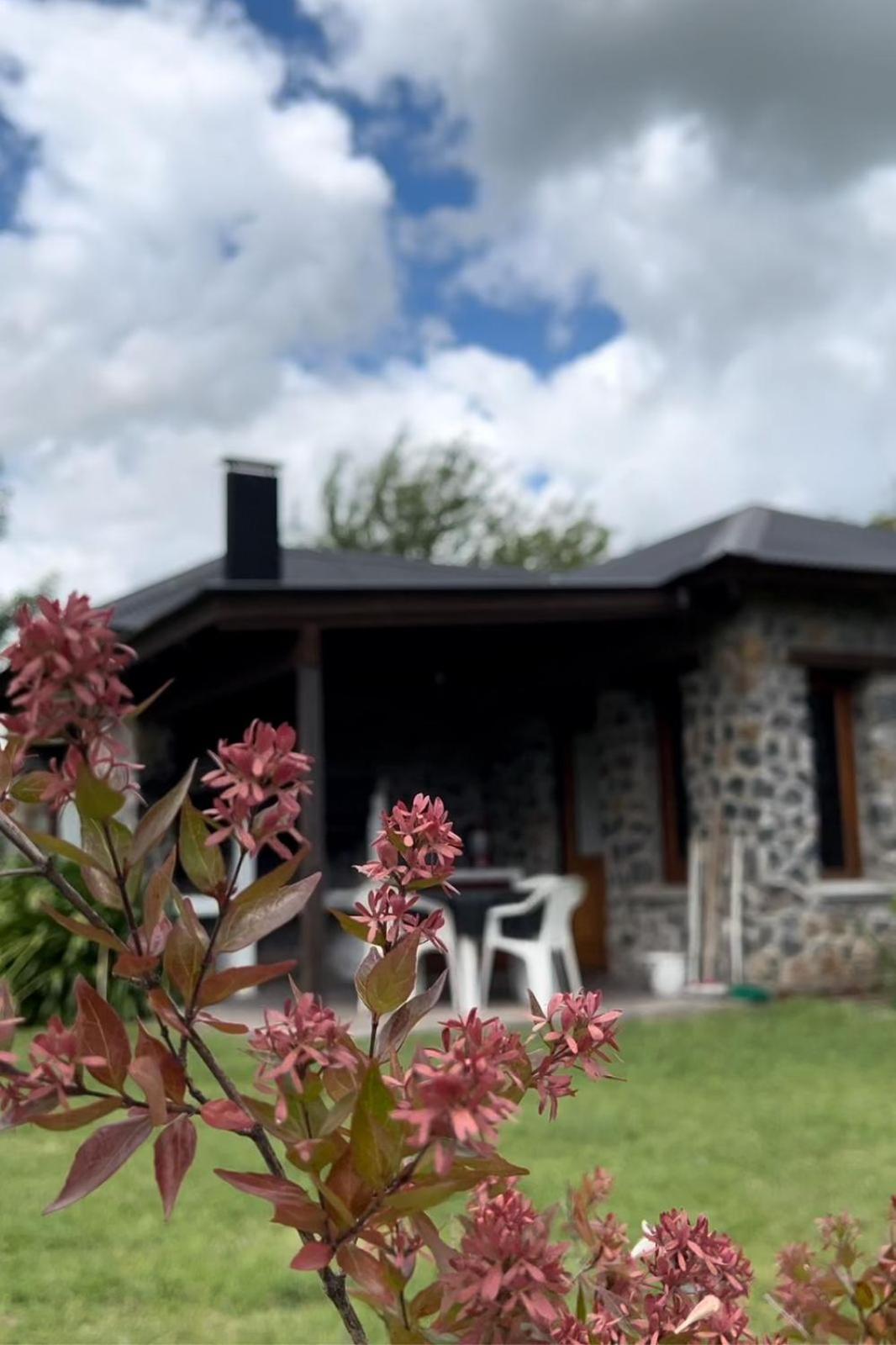 Tahonas Lodge *